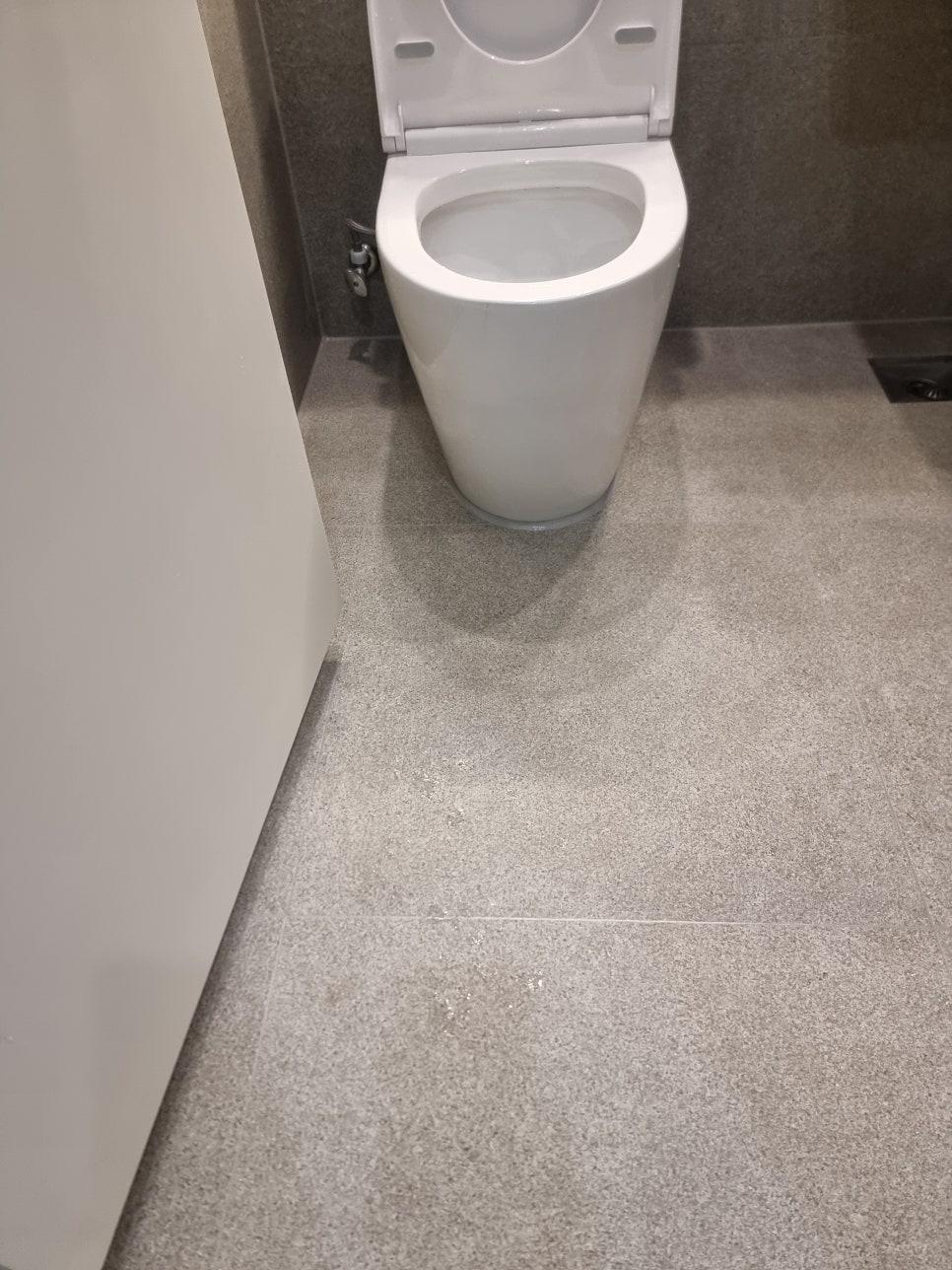 양변기 주변 바닥 근접 촬영