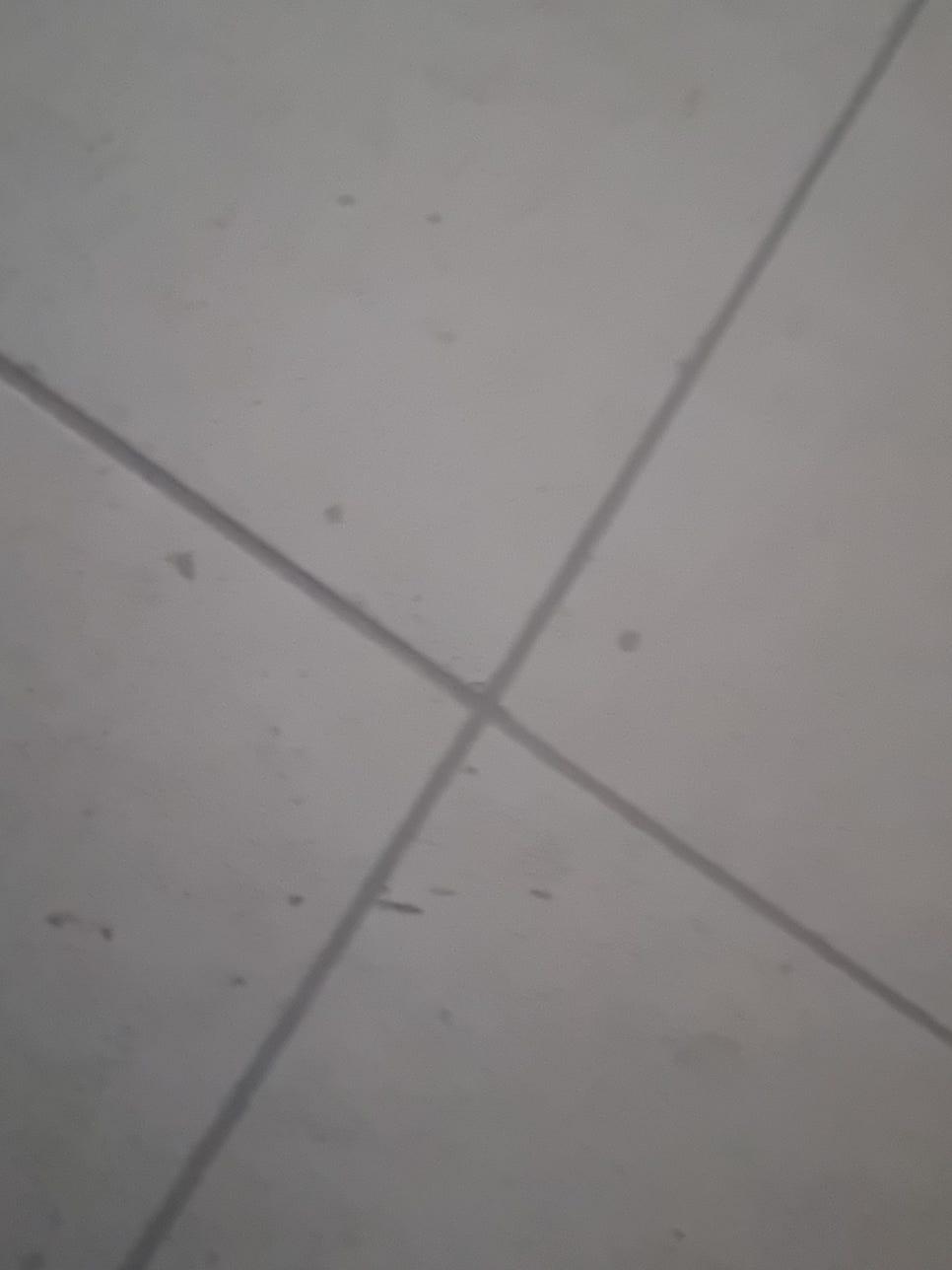타일 틈새의 잔여물을 제거하는 모습