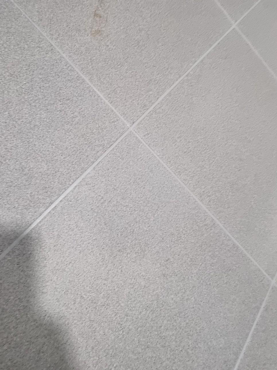 회색 타일 바닥 위에 놓인 흰색 셔드