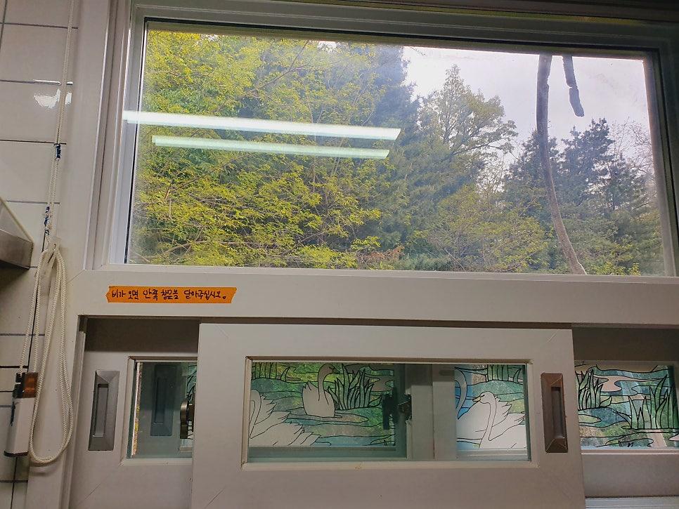 창문 너머로 보이는 나무 풍경