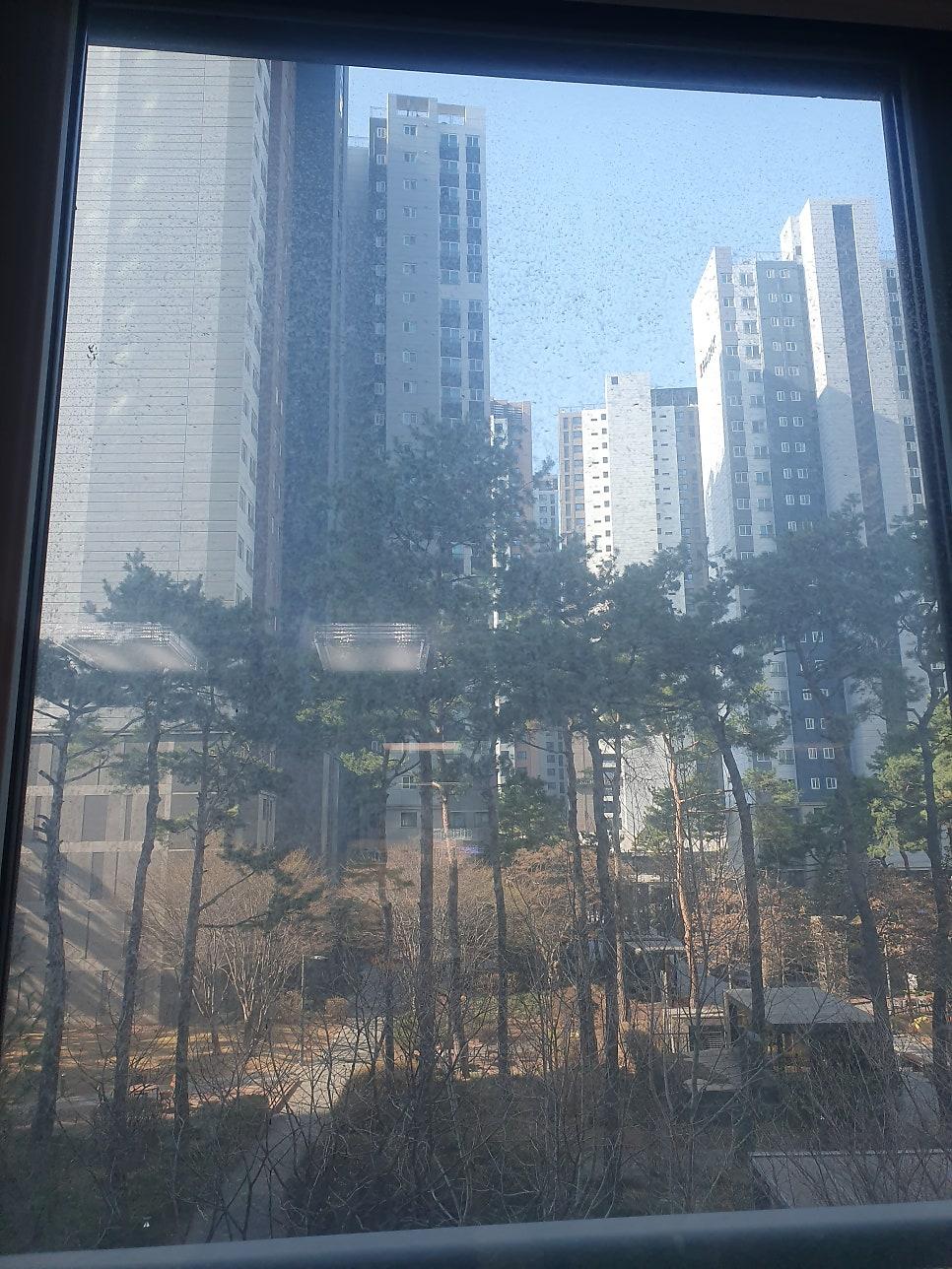 밝아진 집안 분위기를 보여주는 깨끗한 유리창