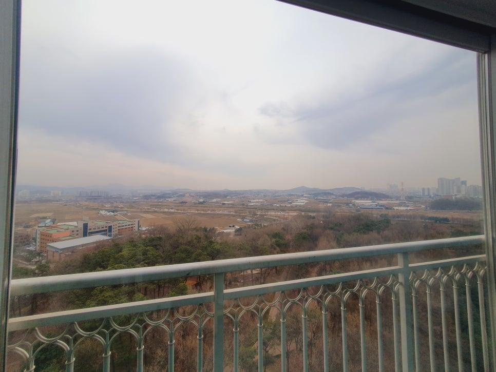 깨끗해진 유리창으로 보이는 외부 풍경