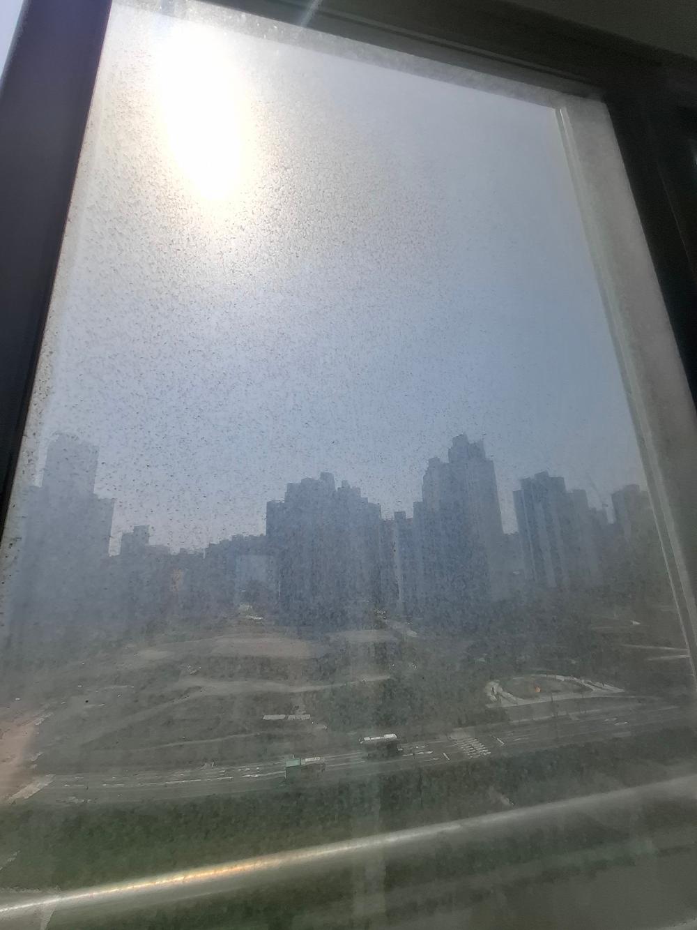 햇빛을 받아 선명하게 빛나는 창문 사이 공간