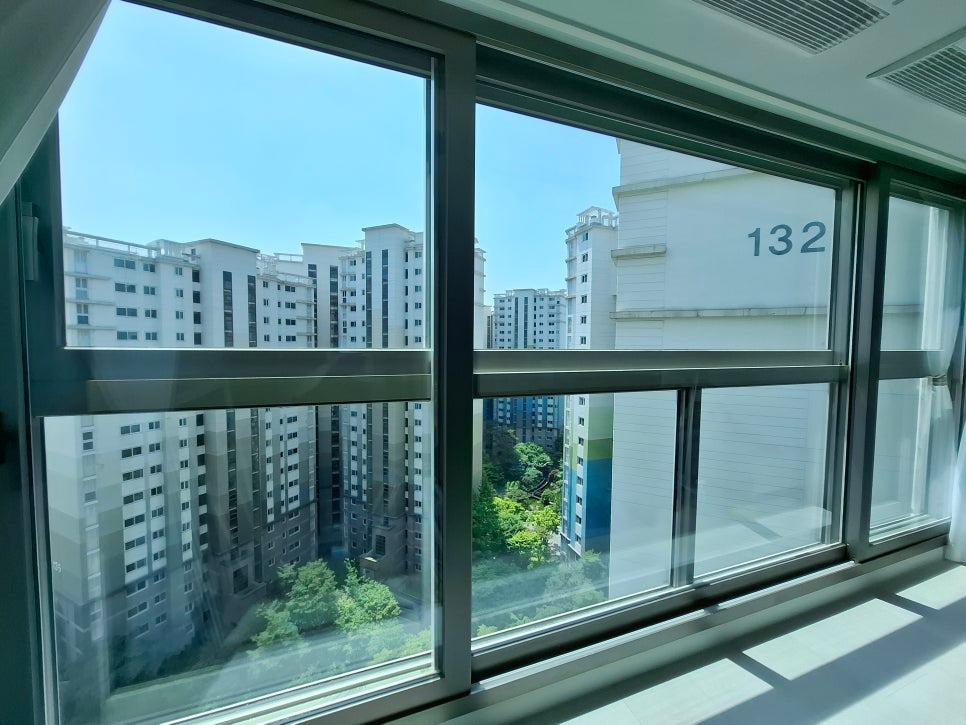 선명하게 드러난 주변 건물과 푸른 나무들
