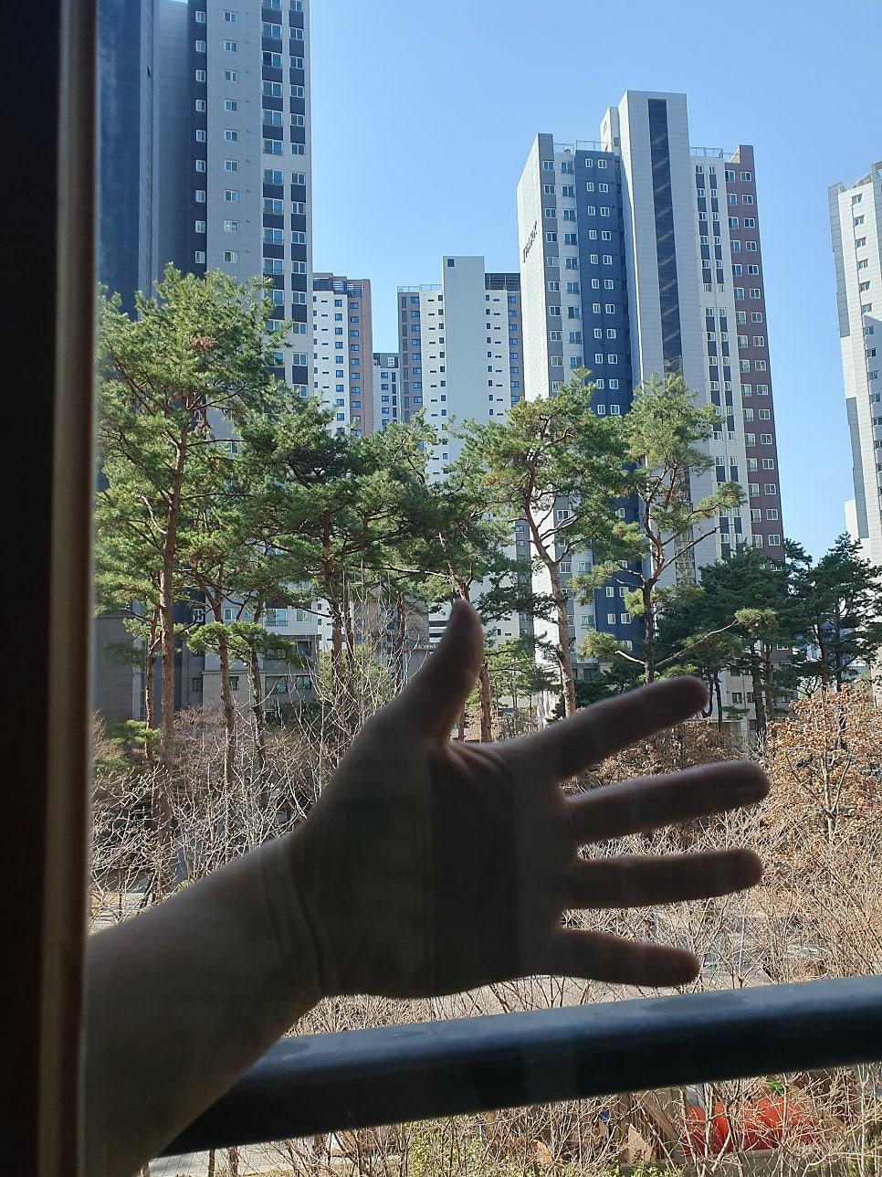 묵은 물때를 제거하는 세심한 작업 현장