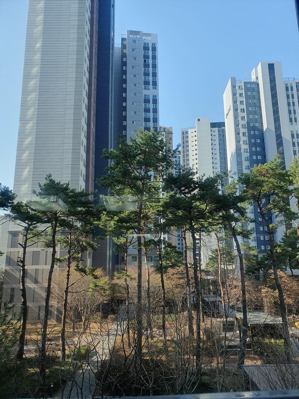 깨끗한 창문 너머로 보이는 깨끗한 풍경