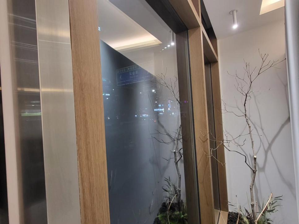 식물과 목재 패널이 어우러진 창가