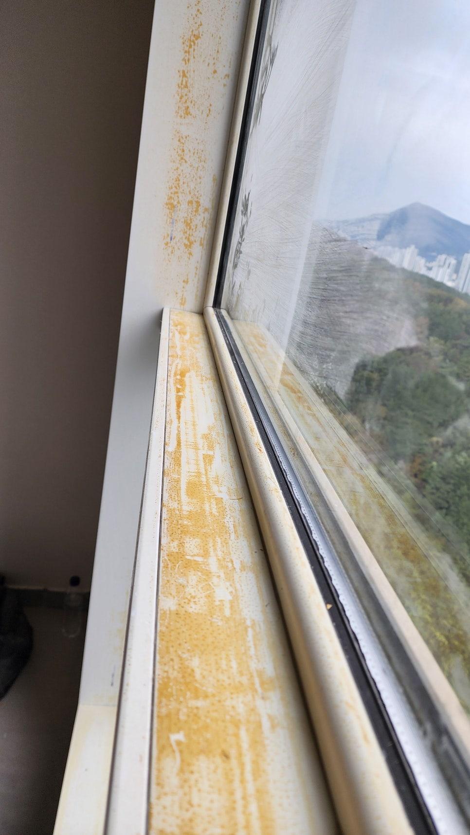 창문 주변 필름 제거 및 기초 작업
