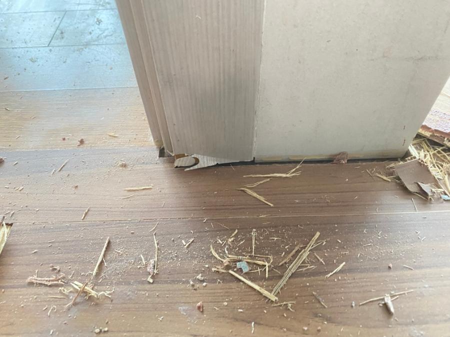 나무 刨花와 종이 조각이 흩어진 바닥