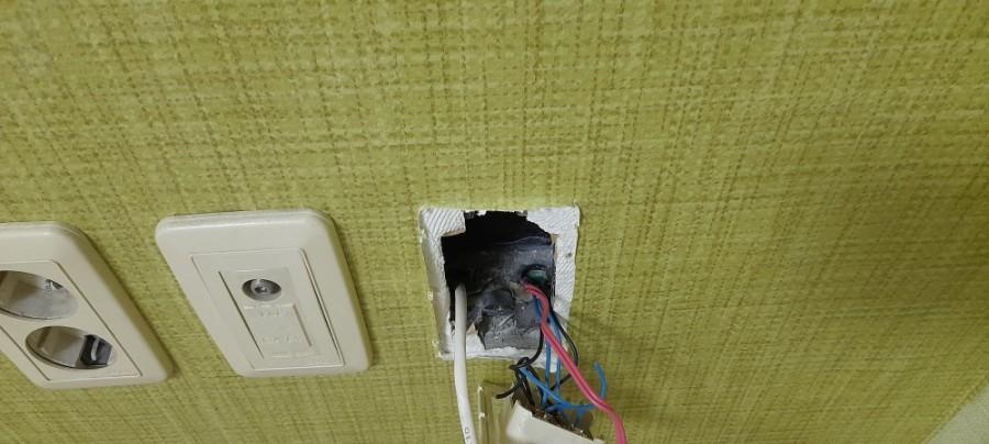 녹색 벽지와 함께 노출된 전기 스위치 배선