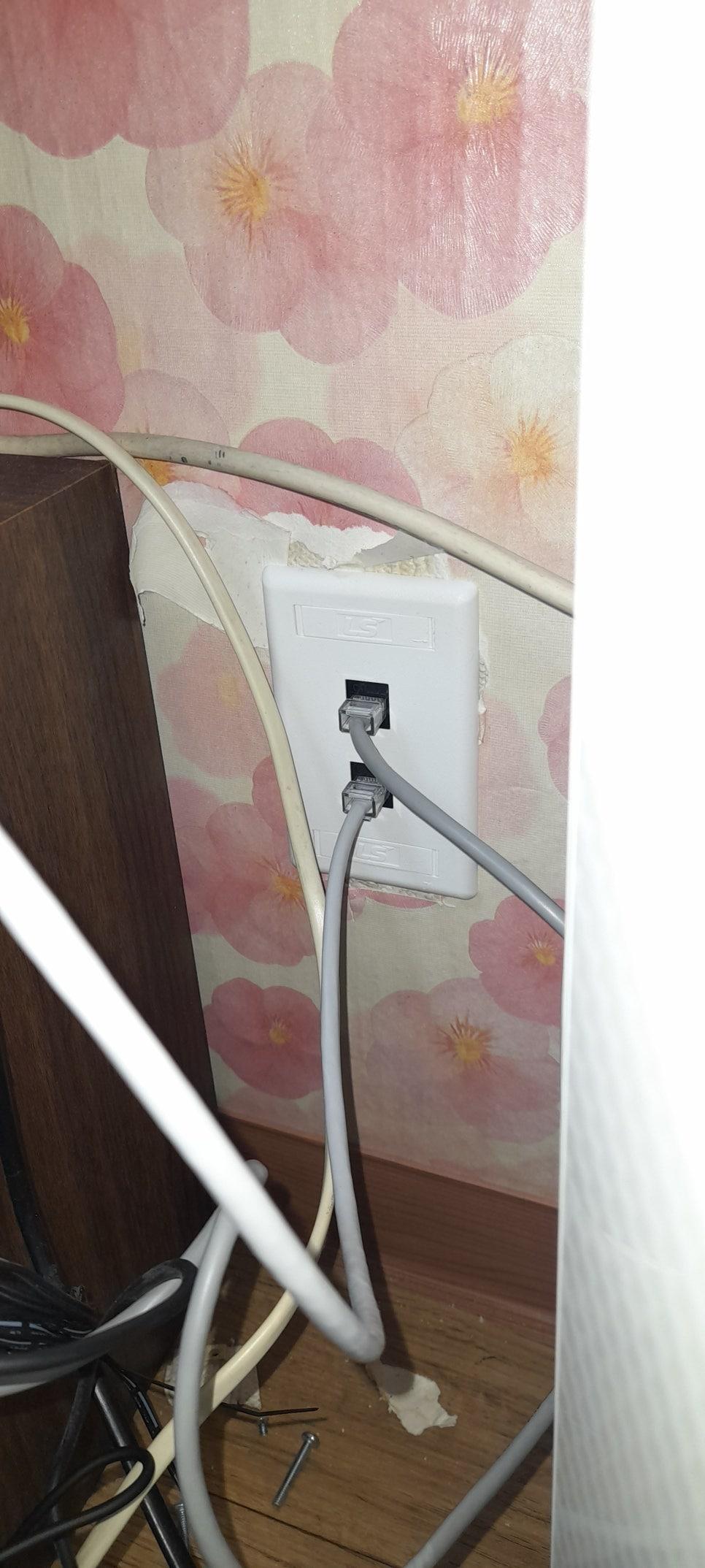 회색 케이블이 연결된 흰색 RJ45 커넥터
