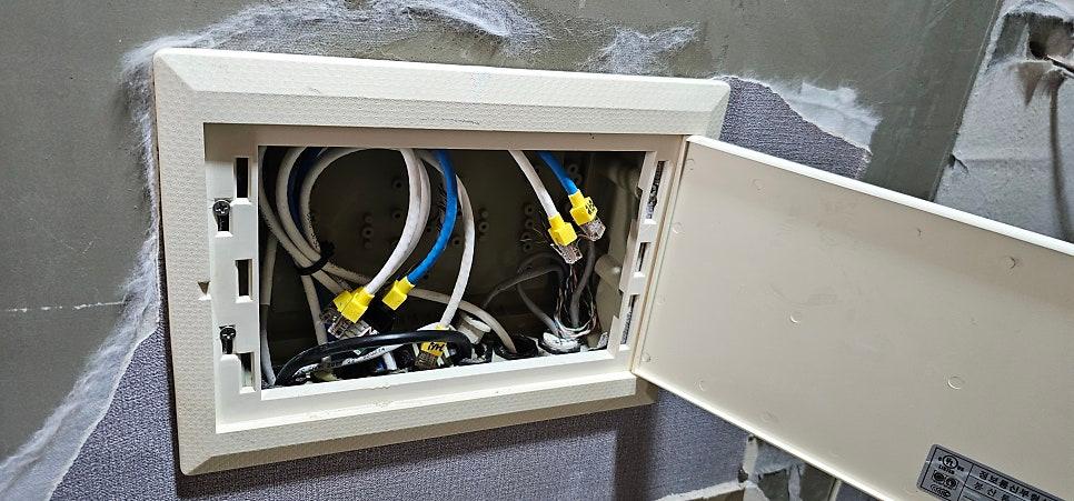 RJ45 커넥터가 연결된 네트워크 케이블들