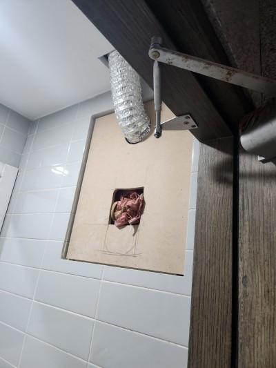 내부가 벗겨진 베이스보드와 금속 호스