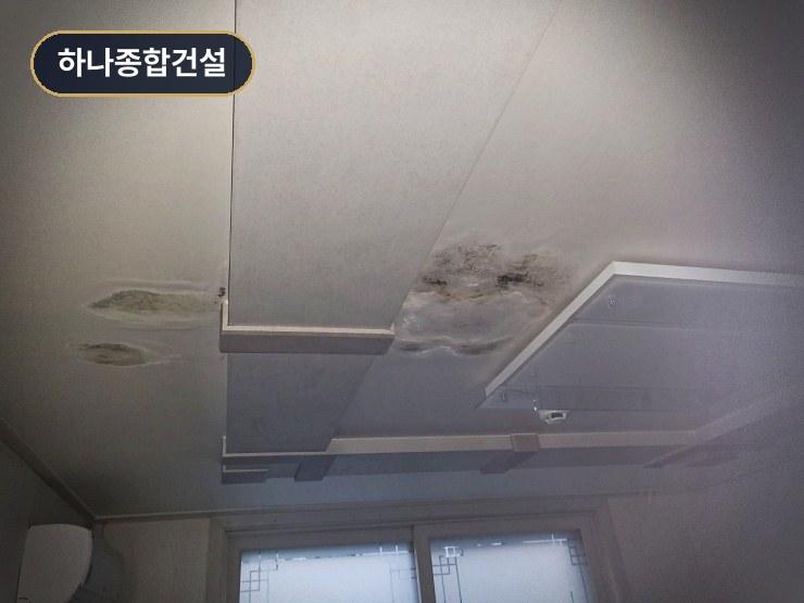 곰팡이가 발생한 천장 피해 모습