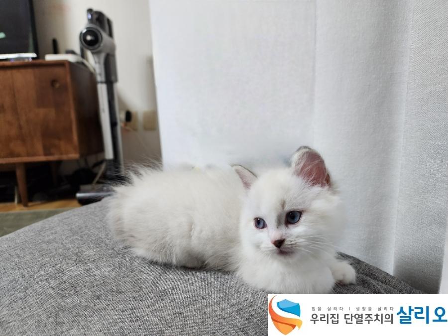 나무 캐비닛과 선풍기가 놓인 거실의 평온한 풍경