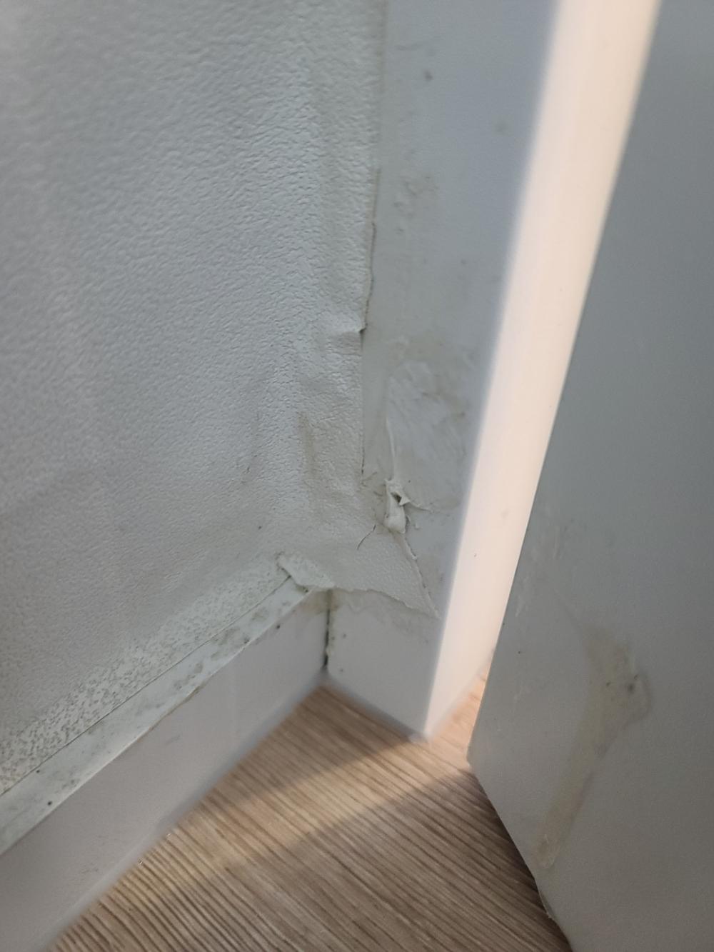 벽면 접합부의 벗겨짐과 흰색 마감재의 상태