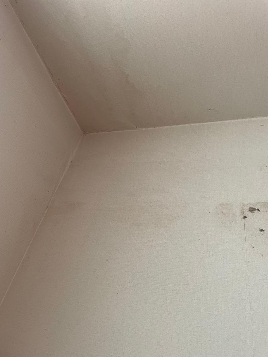 얼룩이 남아 있는 초기 벽면의 모습