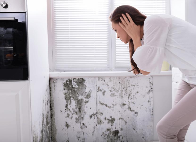 녹이 번진 주방 벽면과 오븐