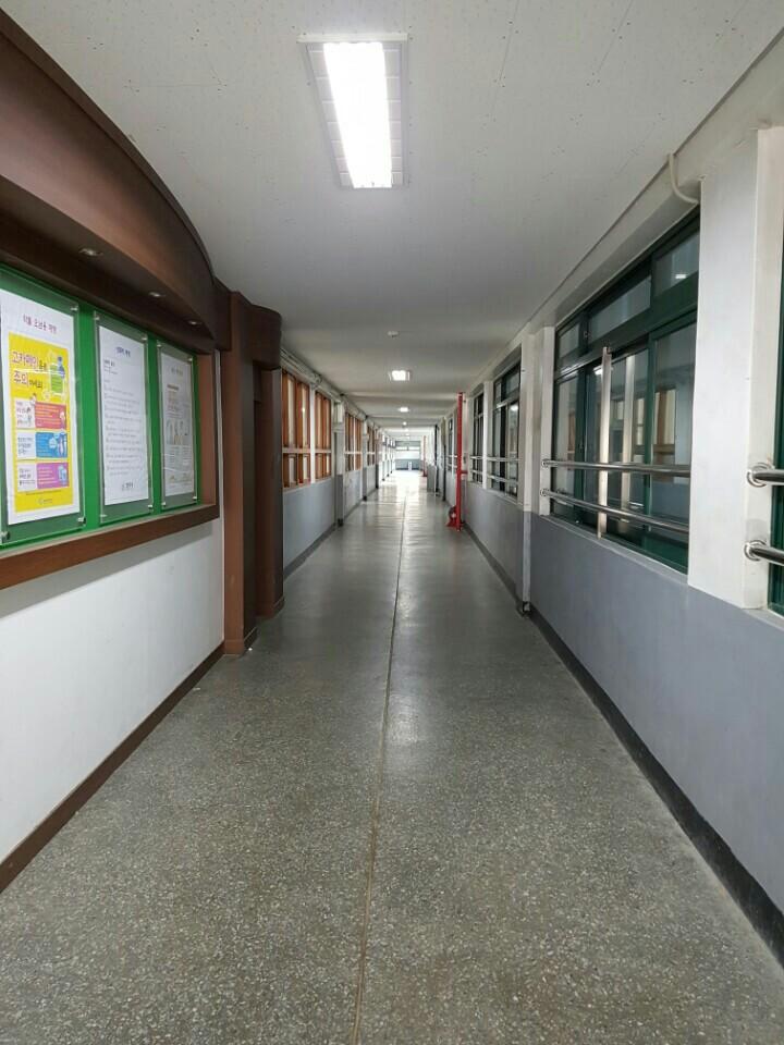녹색 게시판과 흰색·회색 타일 바닥이 보이는 복도