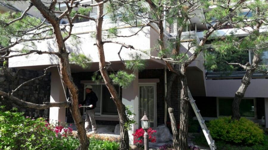 정원의 식물들과 어우러진 외벽 마감 모습