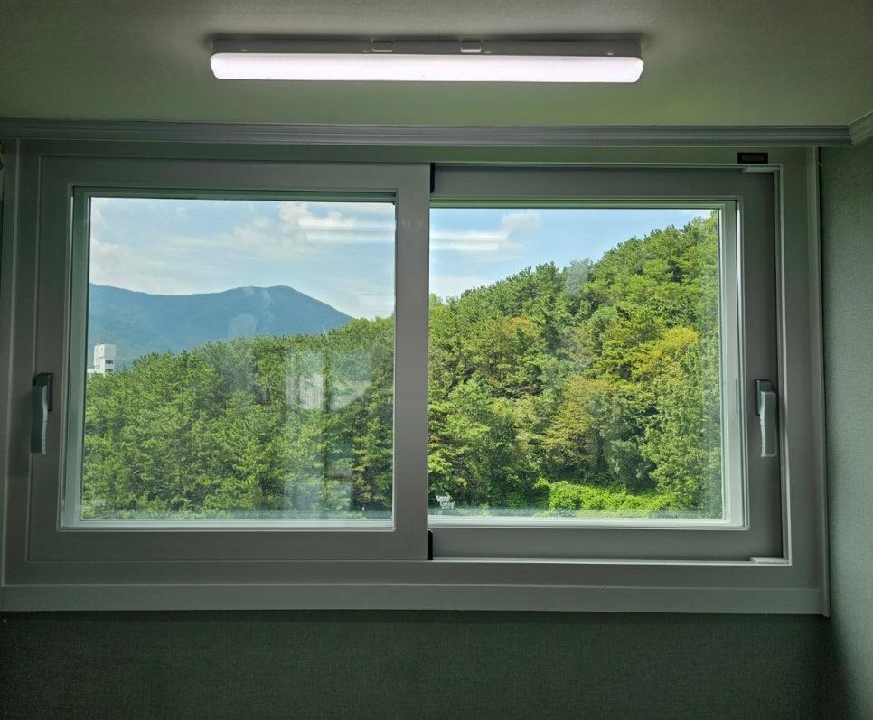 산림 뷰가 투영되는 창호 프레임 근접 샷