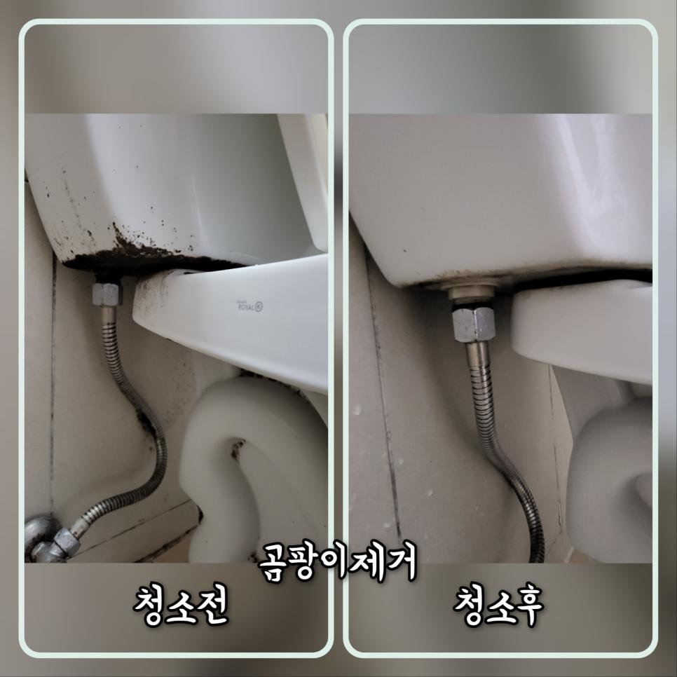 오염물이 있던 화장실 배수관 부근