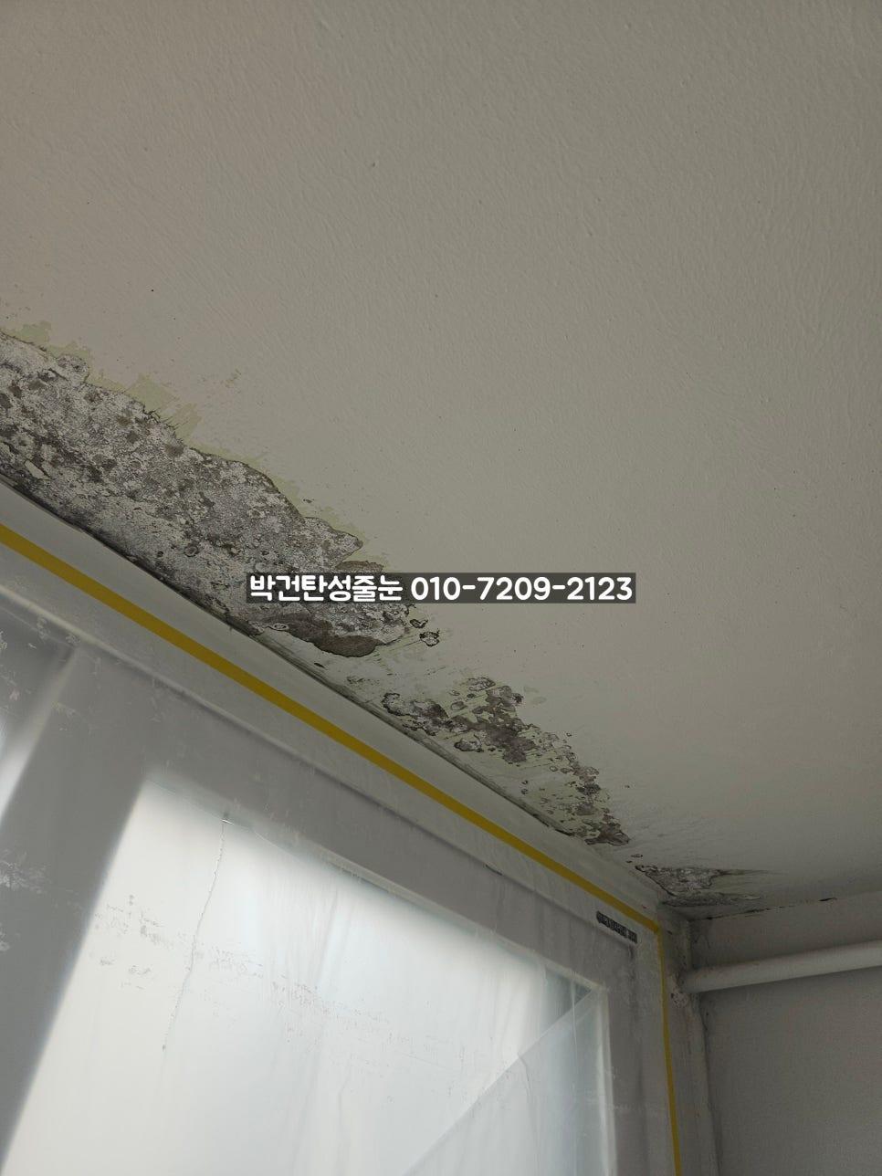 창문 근처 벽면의 마감재가 부분적으로 벗겨진 상태
