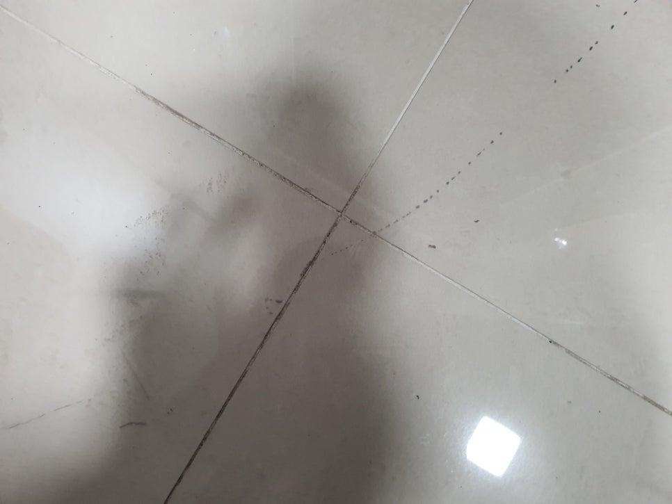 흰색 타일 교차선의 검은 오염점이 보이는 상태