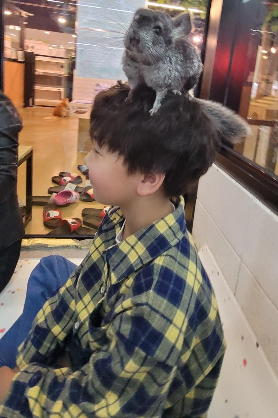 흰 벽돌 벽과 컬러 매트가 깔린 체험 구역