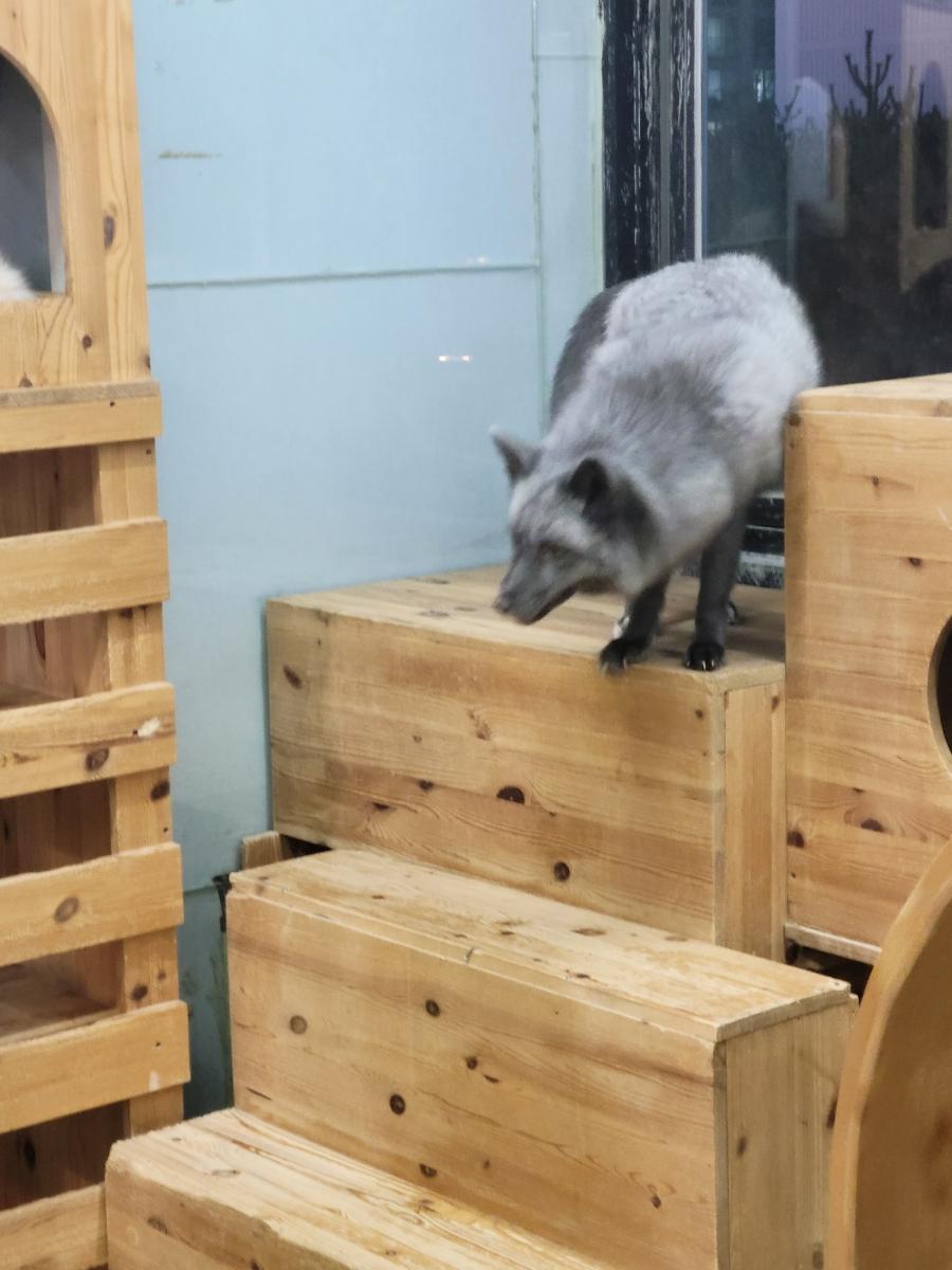 목재 계단과 수납장이 설치 중인 시공 현장
