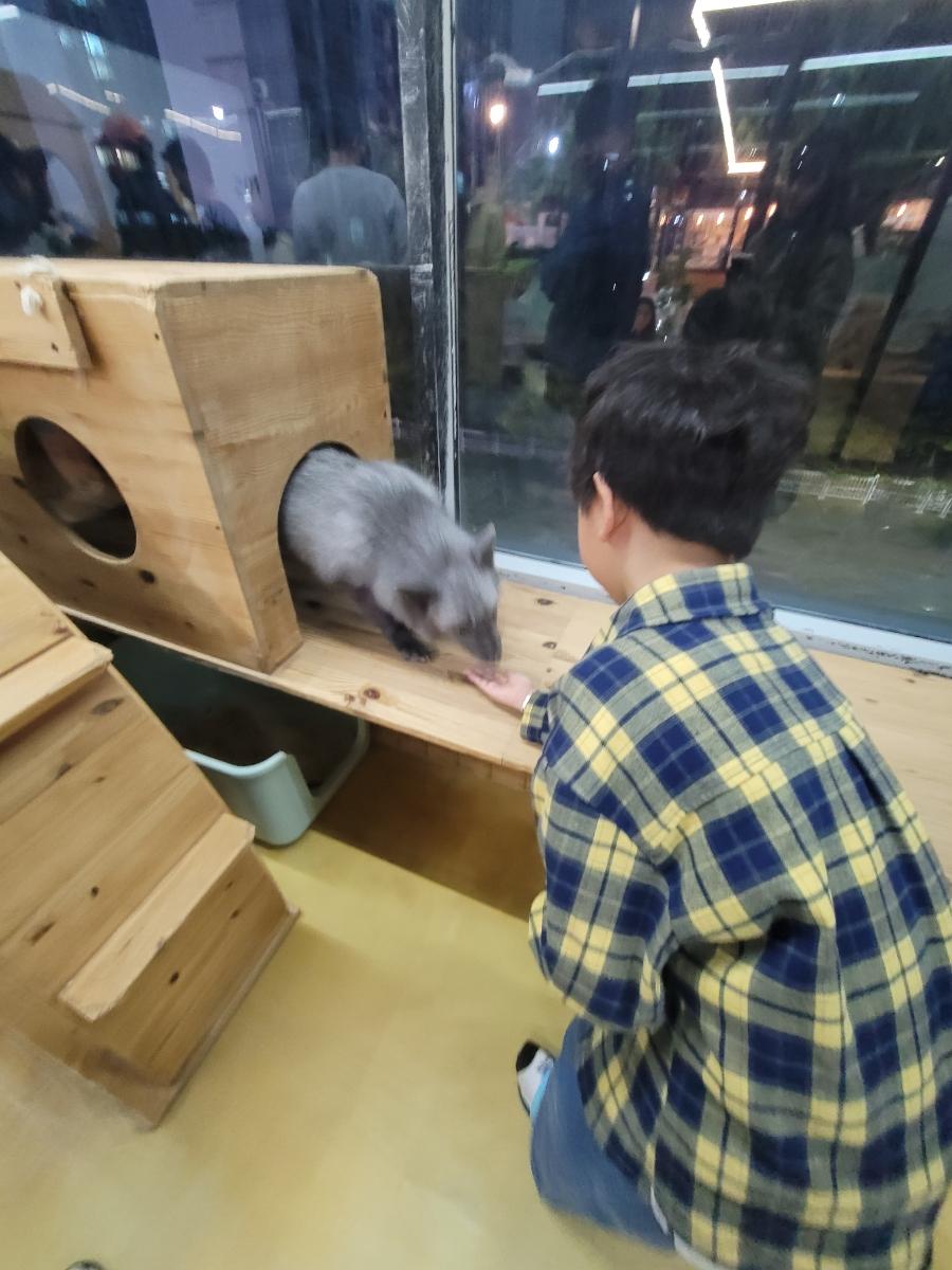 창가 옆 나무 구조물이 배치된 공간