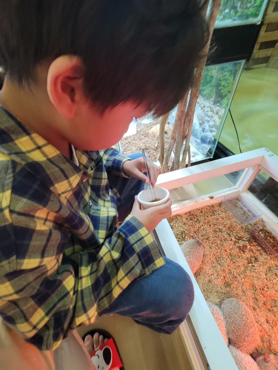 흙과 나무 환경에서 먹이를 주는 체험 모습