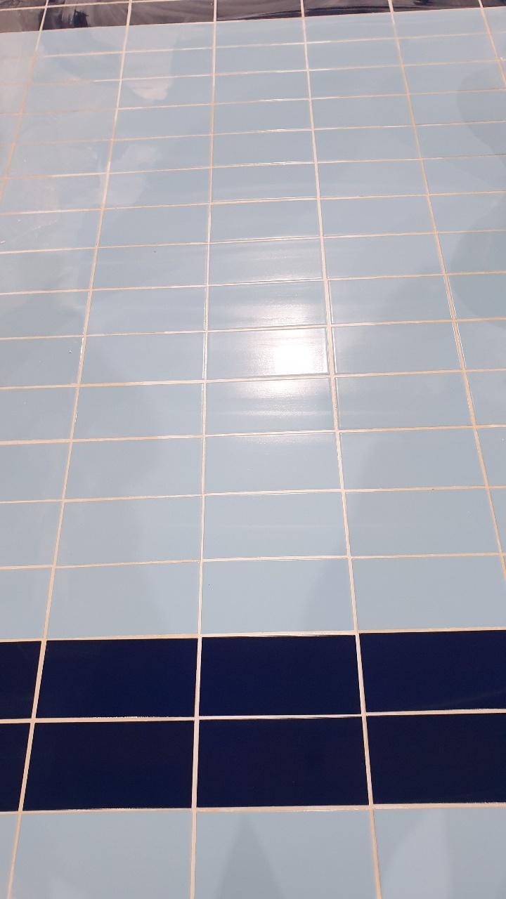 베이지색 셔드가 보이는 파란색 타일 바닥