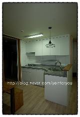 백조 코팅볼 CDS 850