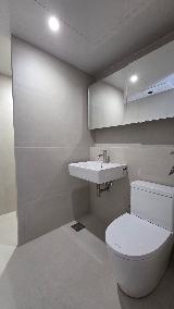아덱스 fg8 241 (light grey)