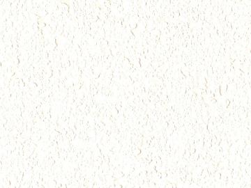 LX Z:IN 베스트(베스띠) 내추럴 스타코/화이트 (82579-01)