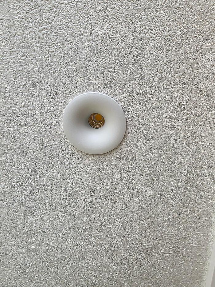 호른 8W COB