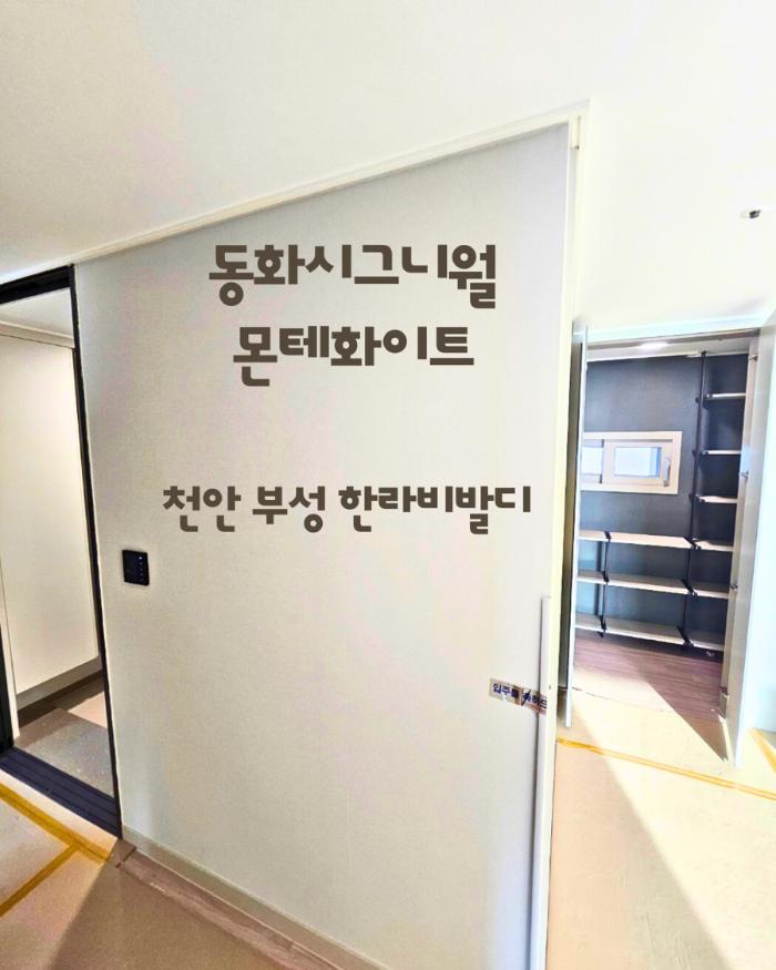동화자연마루 #시그니월