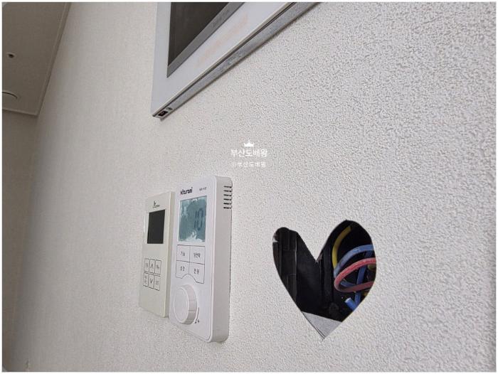 개나리 로하스 클레이회벽 화이트 도브 87476-2
