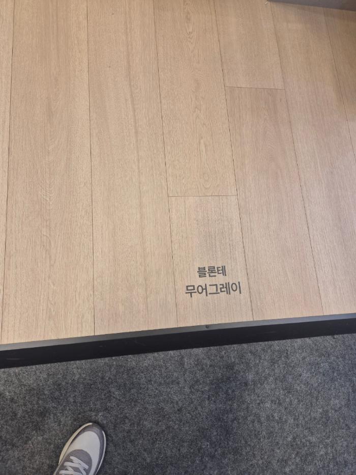 구정마루 블론테 무어그레이