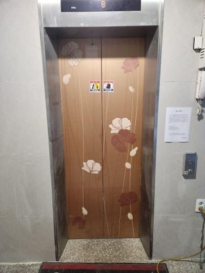 꽃무늬 장식과 낡은 목재 패널을 지운 엘리베이터 필름 시공 | 강북구 수유 진현빌라