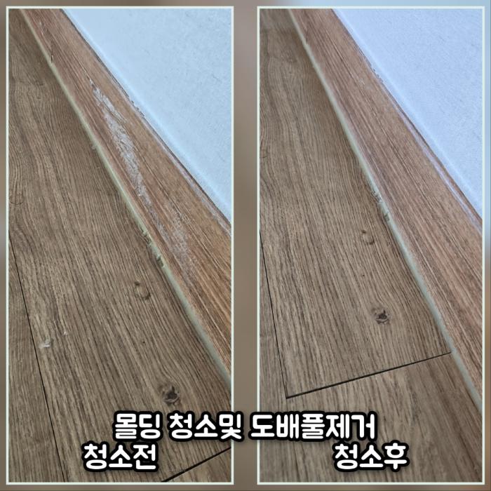 나무문