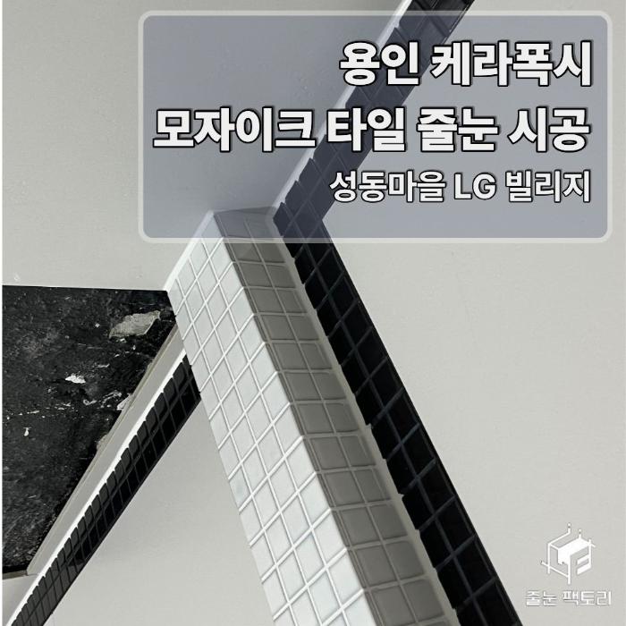 촘촘한 모자이크 타일 사이 곰팡이 걱정, 케라폭시로 해결했어요 | 용인 LG빌리지6차