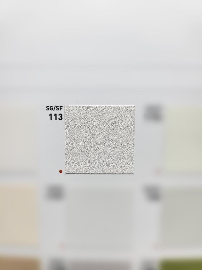 거친 질감이 확인되는 SG/SF 113 필름 샘플