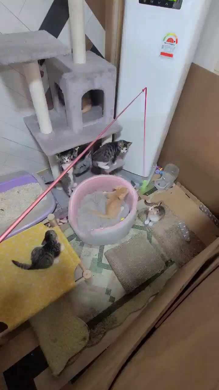 시공 완료 후 종이골판지로 보양 처리한 모습