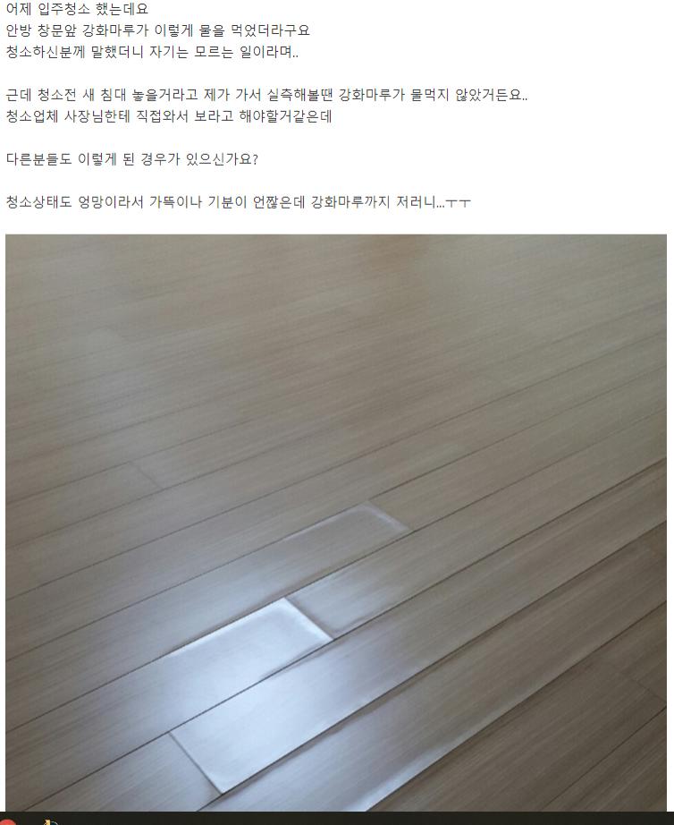 먼지층이 넓게 퍼진 바닥 표면