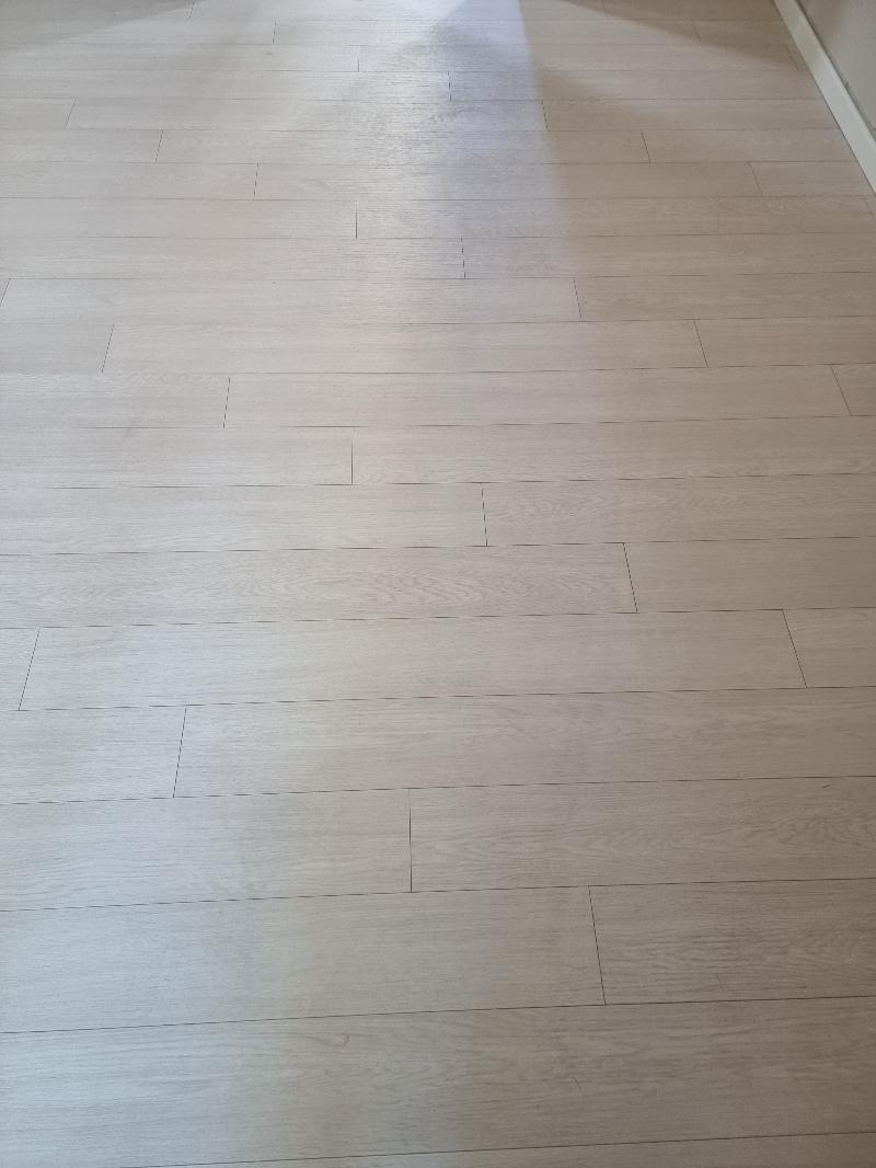 화이트로사 수종의 텍스처가 보이는 근접샷