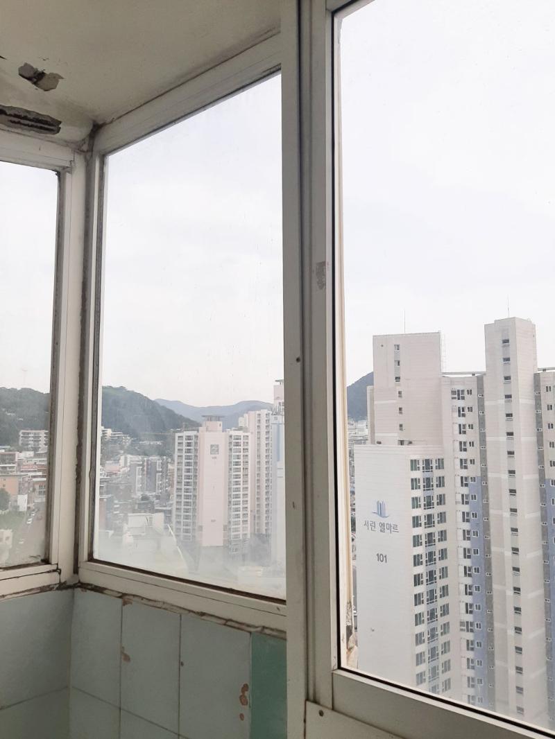 유리에 외부 풍경이 반사된 창호 근접 촬영