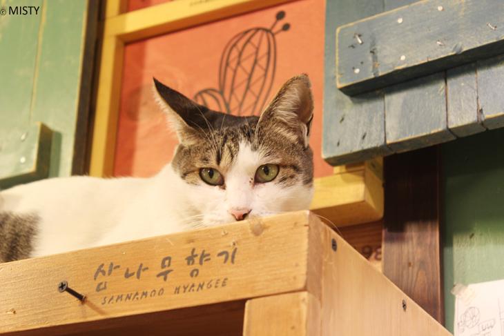 주황색 벽면과 파란색 구조물이 대비되는 공간